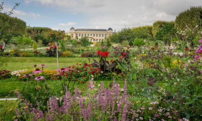 jardim des plantes paris em setembro